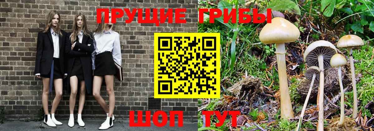 Галлюциногенные грибы Cubensis Подольск